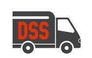 Logo DSS Mudanças